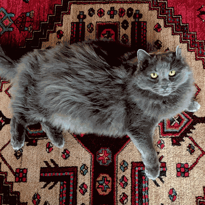 Handwoven Throw Blanket | Greyson