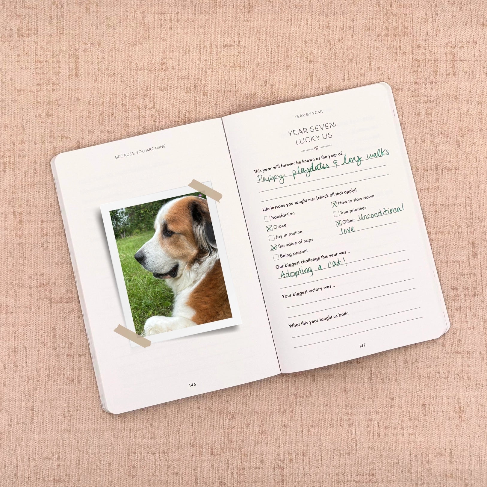 Because You Are Mine Journal for Pet