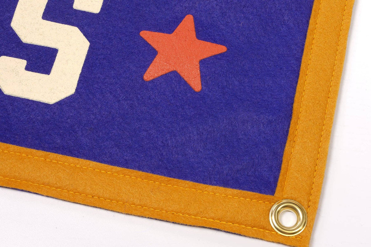 Write Your Own Songs Camp Flag • Willie Nelson x Oxford Pennant