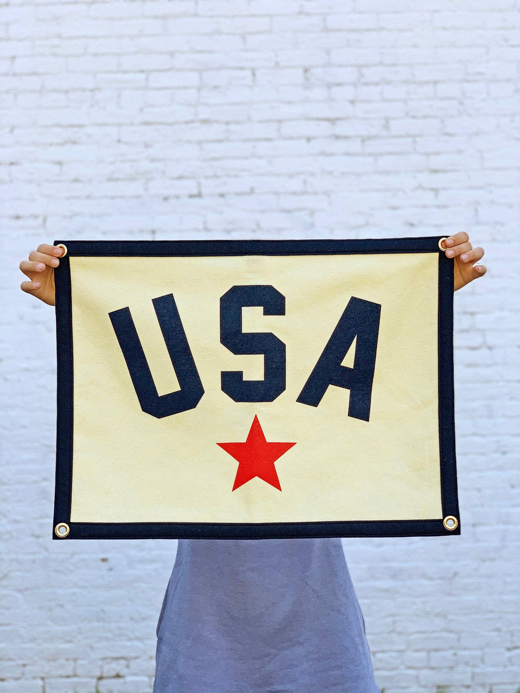 USA Camp Flag