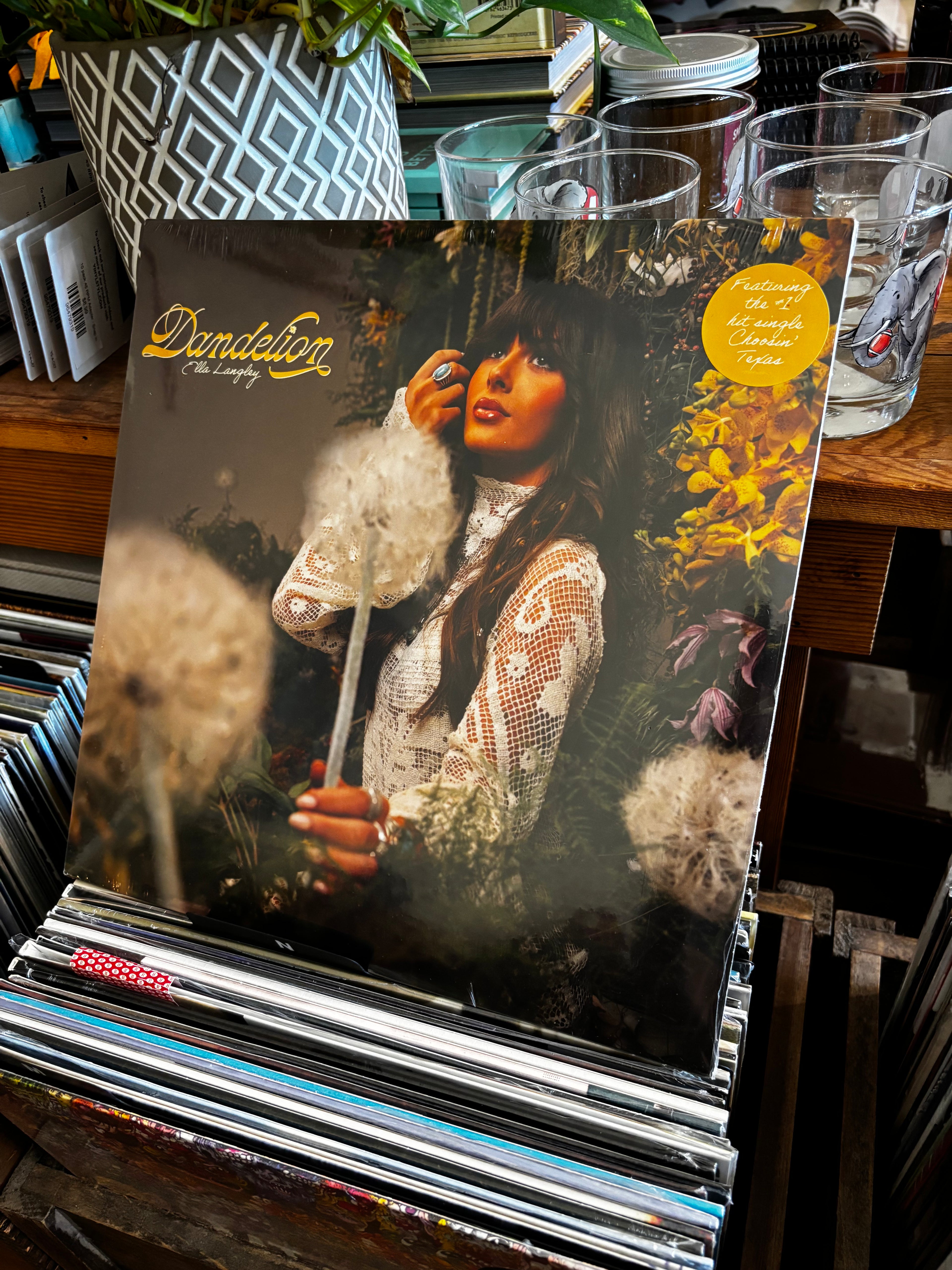 Dandelion LP