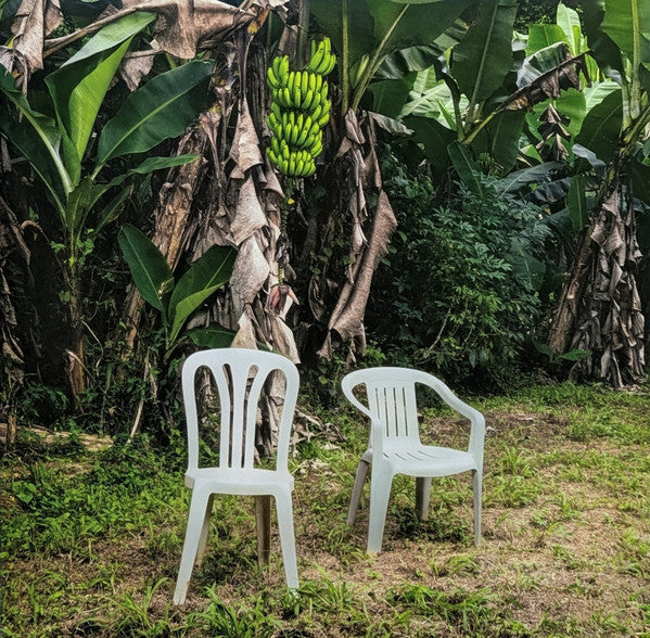 Debi Tirar Mas Fotos LP