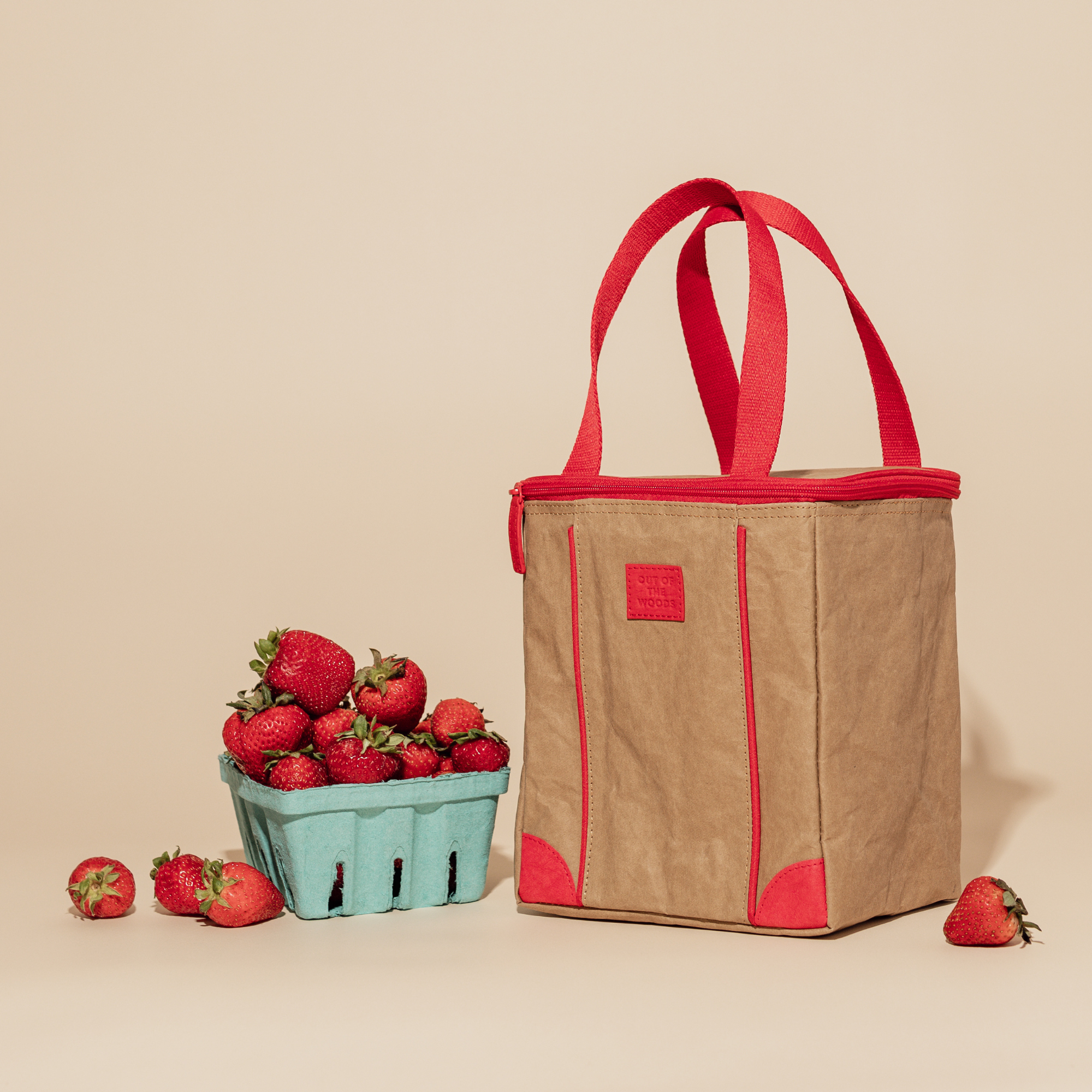 Chill Zone Lunch Cooler, Insulated, Vegan - SMALL CASE PACKS