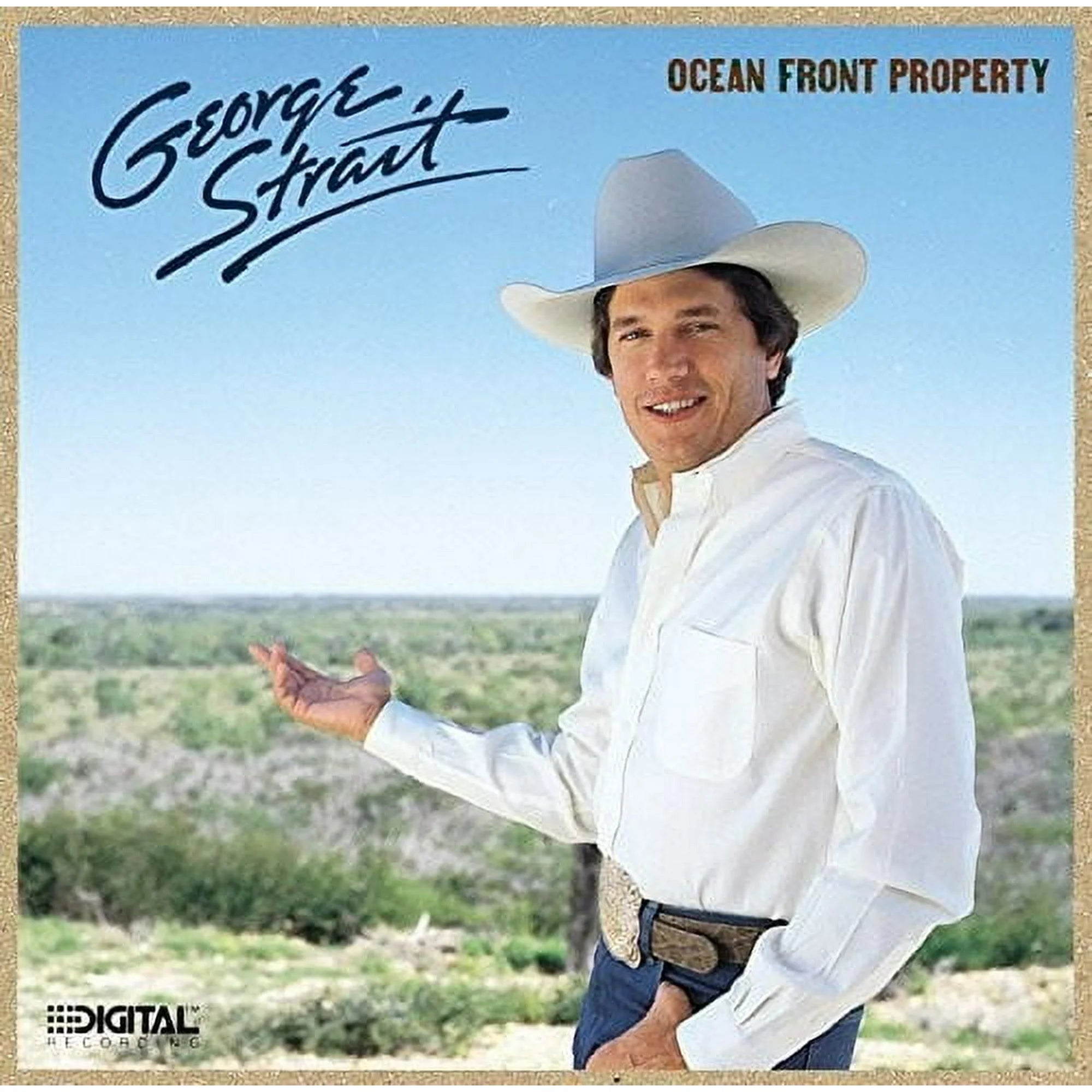 Ocean Front Property Vinyl
