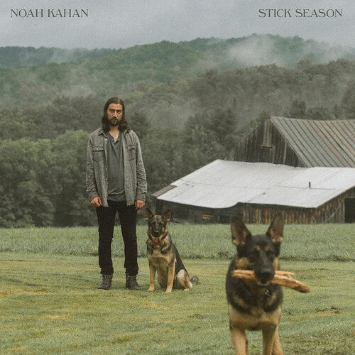 Stick Season [Explicit Content] LP