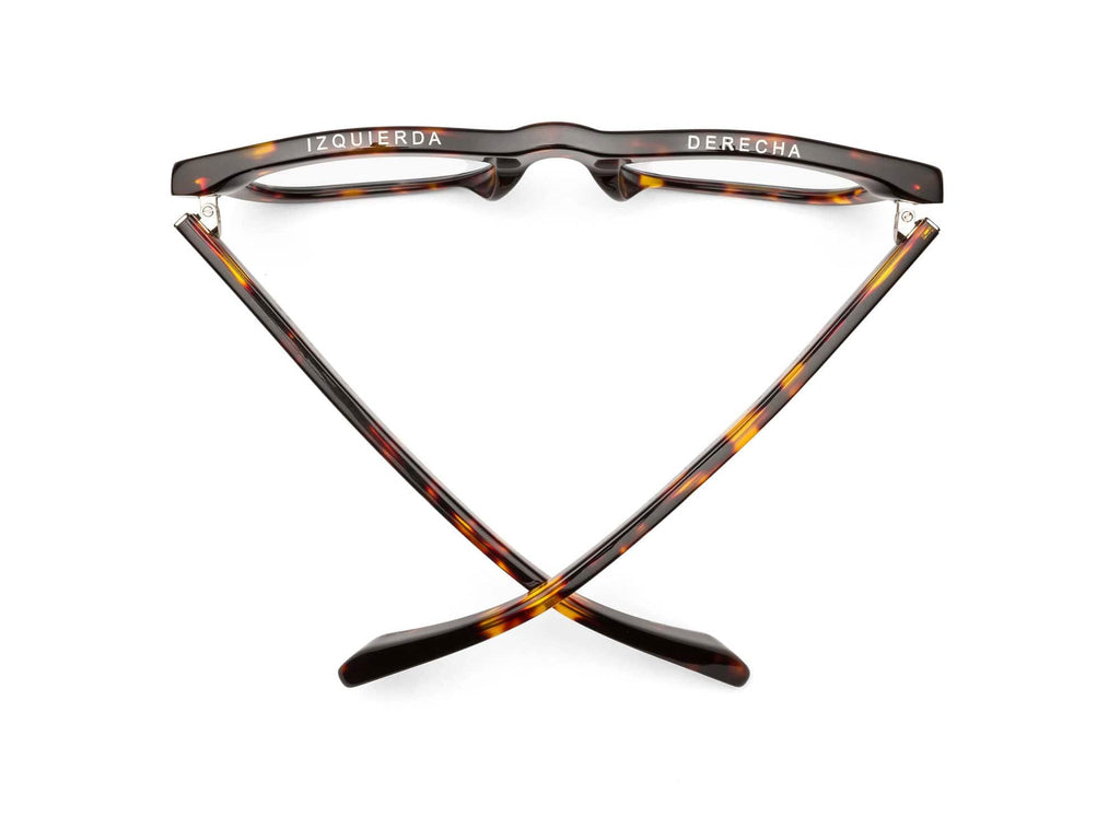 Caddis D28 Sunglasses - Turtle - Polarized Bronze